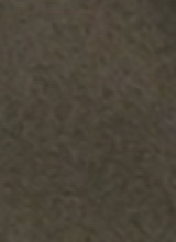 Guest_Fevers2