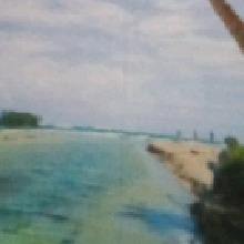 Guest_Sofia416373