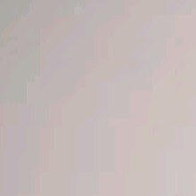 Guest_CAMILA167959