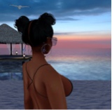 Guest_Yamile5
