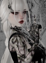 avpic
