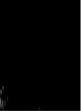 Guest_turquoisebluefald3e4