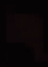 Guest_asya246778