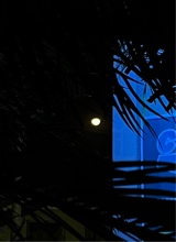 Guest_4YSH44