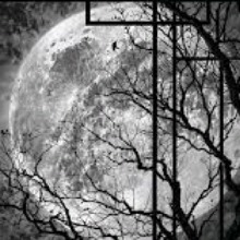 Guest_Lilibeth40