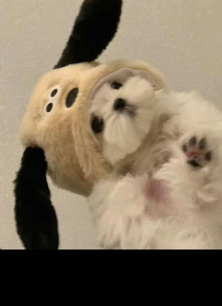 uwuie