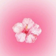 Guest_DANI696696