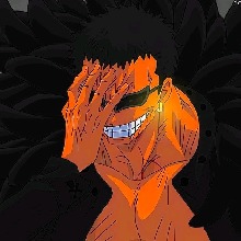 anzo11