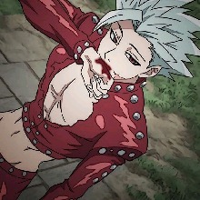 anzo11