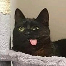 Guest_RAWR397604