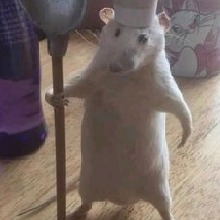 Guest_Gachiakuta
