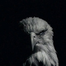 Guest_AndrsLk
