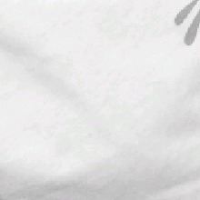 Guest_geo240