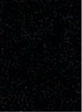 immagine avatar