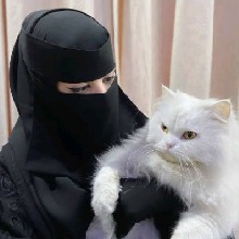 Guest_Fatima566314
