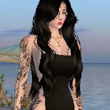 Guest_Ara766513