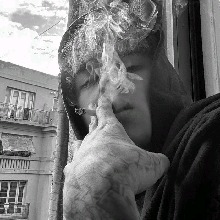 avatar-billede
