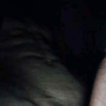 Guest_SrPernilongo