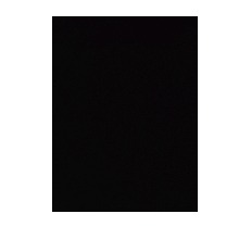 Guest_DiegoHart1