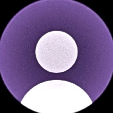 Guest_DyanaPynho1