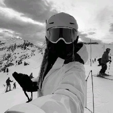 avpic