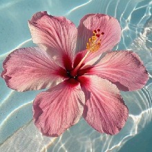 Guest_Sandy224923