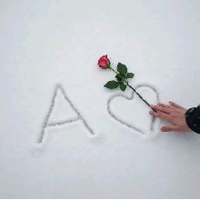 Guest_Aylin172008