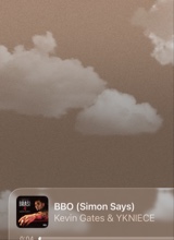 Guest_bribri561400
