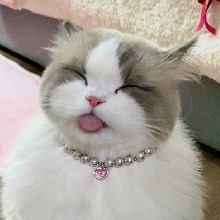 Guest_KittyKatmeow50
