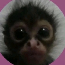Guest_papayawhippinkwhf480