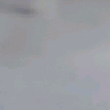 Guest_Marcooo44