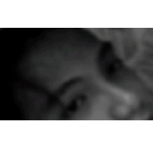 Guest_Cali690727