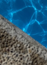 Guest_carolinee76