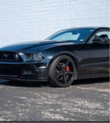 Guest_mustang13