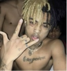 Guest_jayden662346