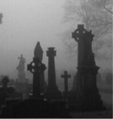 voidweb