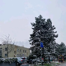 Guest_Iwanttohaveababy67
