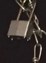 Laila697310