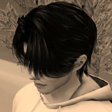 Guest_Logan403763