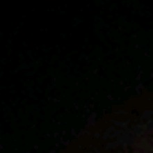 Guest_arsenicvividburgb2c3
