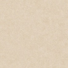 Guest_ShesArt