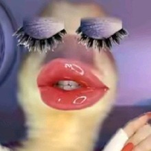 Guest_RyleMitchelle