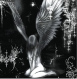 Guest_Nunessbah01