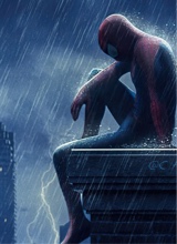 Spider856130