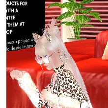 Guest_Rotoncita