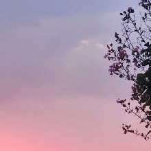 Guest_Vaeh907751