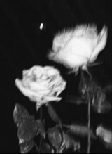 Guest_XMeLoDi