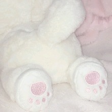 Guest_Alice128772