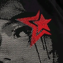 avpic