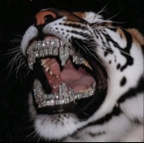 immagine avatar